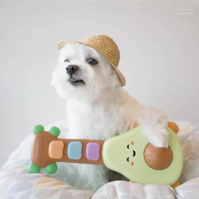 hi.arodのインスタグラム