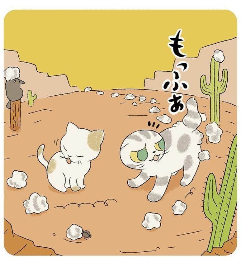 Shishi-maruさんのインスタグラム写真 - (Shishi-maruInstagram)「🐱ねこのきもちWEBMAGAZINE にて、猫エッセイが更新されました。今回は換毛期のししまるのお話です。アプリ版もありますので是非。﻿ お楽しみください。﻿ ﻿ 【渋ネコししまるさん】#49﻿ ｜ねこのきもちWEB MAGAZINE﻿ ﻿ https://cat.benesse.ne.jp/lovecat/content/?id=70027﻿ ﻿ 🐱My essay about Shishi-maru is serialized in a weekly magazine:)﻿ ﻿ ーーーーーーーーーーーーー﻿ 🌺「渋ネコ ししまるさん」ねこのきもちWEB MAGAZINE にて毎週金曜日エッセイの連載中﻿ ーーーーーーーーーーー﻿ 📕「ぷっちねこ。」「3匹のちいさな猫を召喚できたなら」「ちいさな猫を召喚できたなら」徳間書店より単行本発売中﻿ ーーーーーーーーーーー﻿ ⭐︎ねこ漫画→@tacos_cat﻿ 🌺Twitter →@taco_emonemon﻿ ーーーーーーーーーーー」5月29日 23時47分 - emonemon