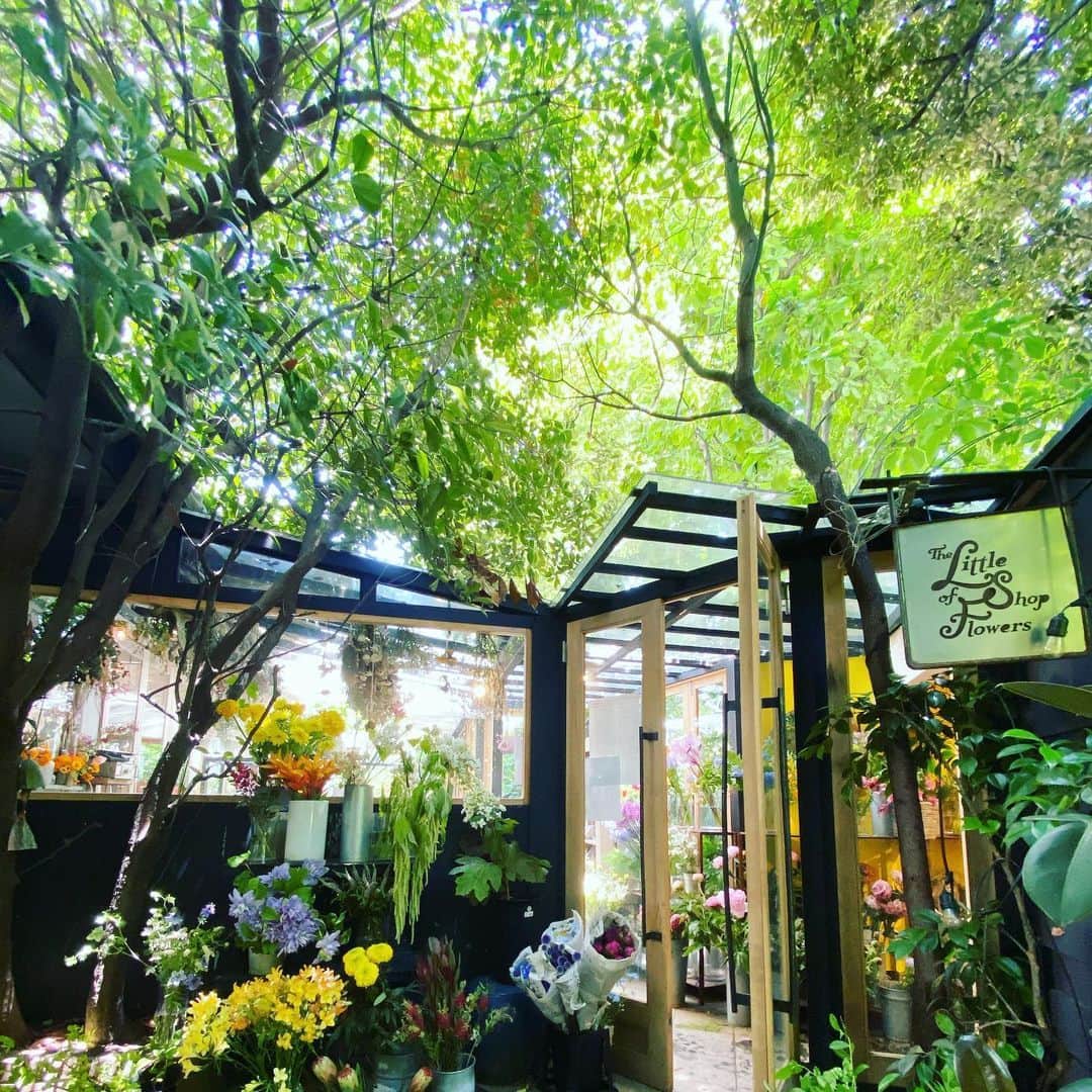 HiRAO INCのインスタグラム：「. 🌼🌸🌿🌱🌻🌷🌸☘️🍀🌿🍃🌿」