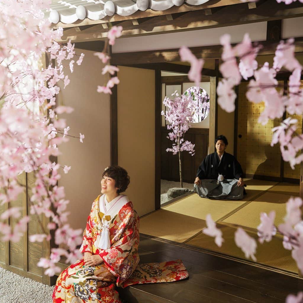 デコルテウエディングフォトグループさんのインスタグラム写真 - (デコルテウエディングフォトグループInstagram)「＼🌸日本庭園スタジオに桜入荷🌸／﻿ この春に桜との撮影を楽しみにしていた新郎新婦さまのため、日本庭園スタジオに桜をたくさん入荷いたしました🌸🌸🌸﻿ ﻿ コロナウイルス感染拡大の影響で、この春は花見はおろか、桜とのウェディングフォトをあきらめざるを得なかった新郎新婦さまも多かったのではないかと感じています😥﻿ ﻿ 今ではやっと緊急事態宣言こそ明けたものの、まだまだ外出は心配ですよね。﻿ 日本庭園風スタジオでの桜撮影では、3密を避けながら安心して桜との撮影を楽しむことができます🙌🌸﻿ ﻿ ﻿ また、本来の桜シーズンの撮影だと、花見客が多く、お二人以外の映り込みもなかなか避けられません...﻿ 屋内庭園スタジオは新郎新婦さまのお二人だけなので、映り込みはもちろんのこと、人目や、感染リスクの心配もご無用😉﻿ ﻿ リラックスして、いつもどおりのお二人でウェディングフォトの撮影が楽しめます🌸✨﻿ アーティフィシャルフラワーのため、毎日満開でお二人をお迎えいたします🌸🌸🌸﻿ ﻿ ﻿ 桜との撮影では、お二人で縁側に座って桜を見上げるしっとりしたポーズや、満開の桜に包まれながらのロマンチックなポーズがおすすめですよ💕﻿ 色打掛や白無垢が映えるウェディングフォト撮影を楽しんでください！﻿ ﻿ ﻿ 6/1（月）より営業を再開いたします🎉﻿ ご相談等お待ちしております！﻿ @decollte_weddingphoto﻿ ﻿ ご相談・お問い合わせにつきましては、﻿ オンライン相談をご利用くださいませ。﻿ ーーーーーーーーーーーーーーーーー﻿ ◇スタジオAQUA（関東）﻿ https://www.studio-aqua.jp/online/﻿ ◇スタジオ8（名古屋）﻿ https://www.st-8.jp/online/﻿ ◇スタジオTVB（関西）﻿ https://www.st-tvb.jp/online/﻿ ◇スタジオAN（福岡）﻿ https://www.studio-an.jp/online/﻿ ーーーーーーーーーーーーーーーーー﻿ 1枚目﻿ Photographer @y.misawa_wedding﻿ 2枚目﻿ Photographer @y_kinjyo_tvb﻿ ﻿ ﻿ #撮る結婚式  #桜満開　#桜  #撮りたかった  #桜フォト  #🌸 #🌸🌸🌸 #さくら  #さくら🌸 #サクラ #アーティフィシャルフワラー　#桜ウェディング　#桜ウェディングフォト  #2020秋婚　#2020冬婚  #前撮り　#後撮り　 #ブライダル前撮り　#和装前撮り　#ウェディングフォト　#フォトウェディング　 #ブライダルフォト　 #結婚写真 #d_weddingphoto 　#花嫁　#プレ花嫁 　#日本中の花嫁さんと繋がりたい　#日本中のプレ花嫁さんと繋がりたい #全国の花嫁さんと繋がりたい　#全国のプレ花嫁さんと繋がりたい」5月30日 12時11分 - decollte_weddingphoto