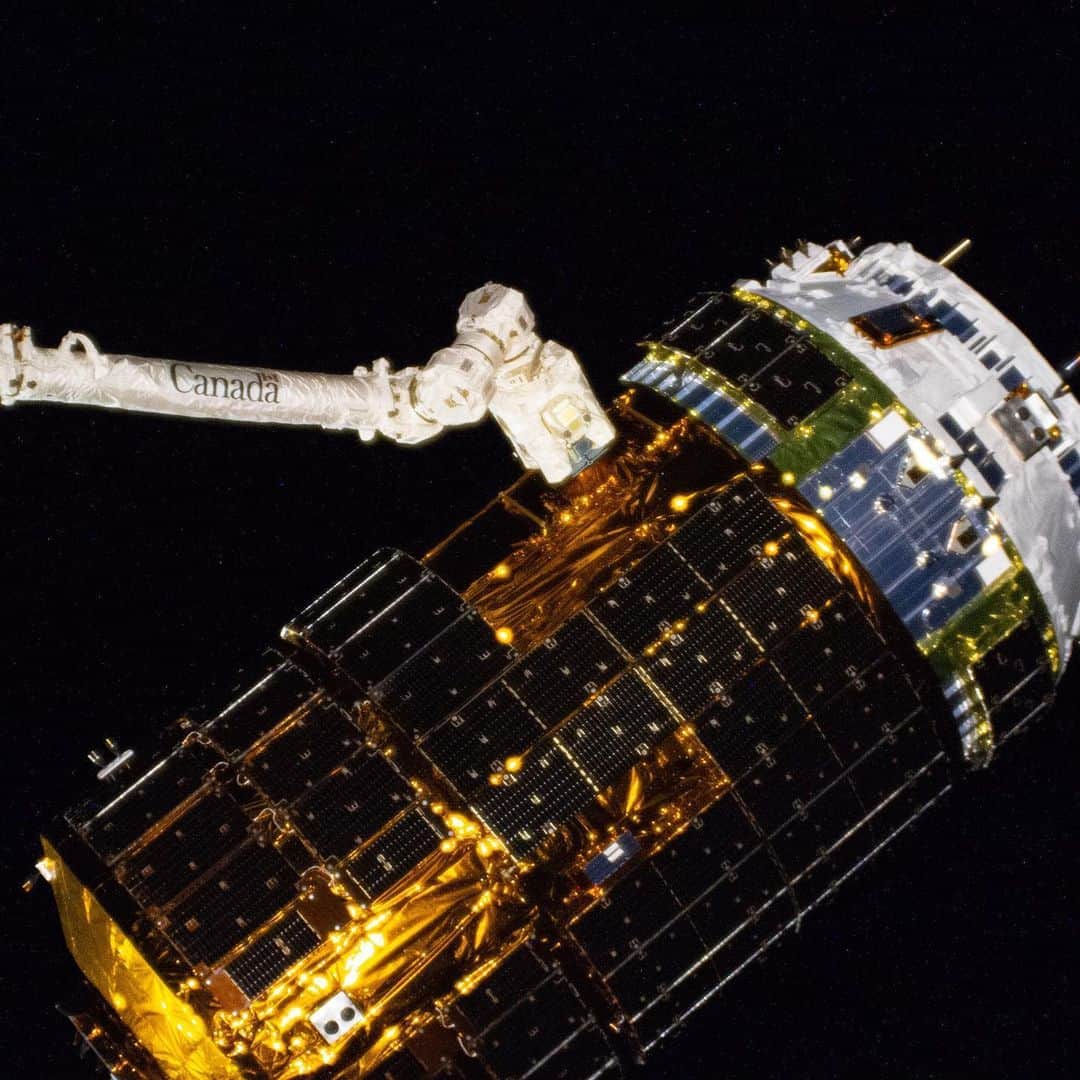国際宇宙ステーションさんのインスタグラム写真 - (国際宇宙ステーションInstagram)「Japan's HTV-9 cargo craft arrived at the station on Monday after a five-day trip packed with over four tons of supplies for the Expedition 63 crew. #nasa #jaxa #csa #unitedstates #japan #canada #international #space #station #htv9 #kounotori #canadarm2 #robotics #earth」5月30日 11時05分 - iss