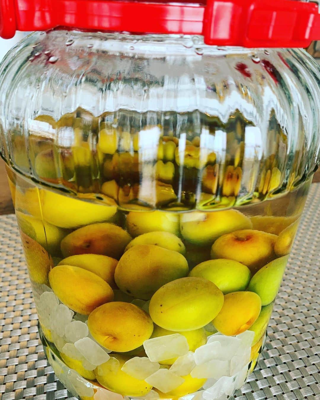 中澤裕子のインスタグラム：「初めての梅酒作り 美味しく出来ます様に  #梅酒楽しみ  #臨時休校最後の週末 #朝早く起きれるか心配 #子ども達より私が  #お弁当の作り方忘れてる」