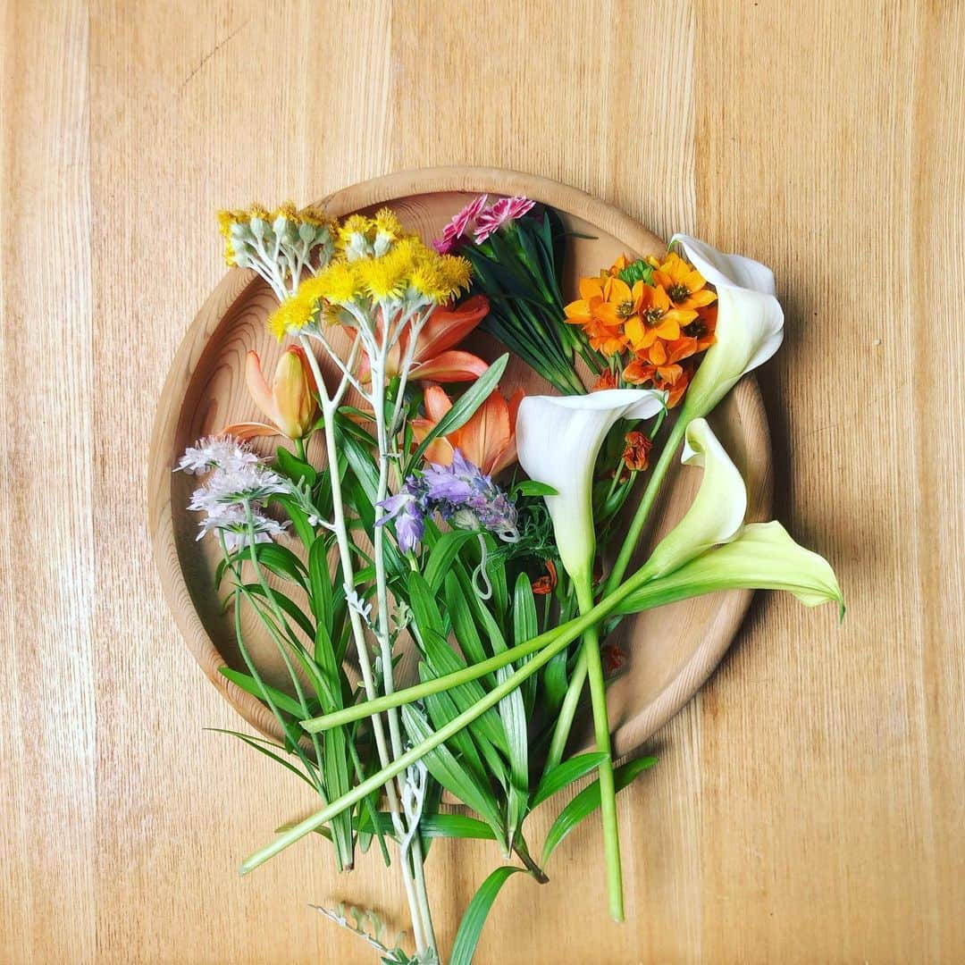 大宮エリーさんのインスタグラム写真 - (大宮エリーInstagram)「食事をのせることもありますが お花をのせることもあります。 ベランダで咲いた花を収穫。 野菜だけじゃなく花も育ててよかった。  #家庭菜園 #お盆 #花 #花盆」5月30日 11時48分 - ellie_omiya