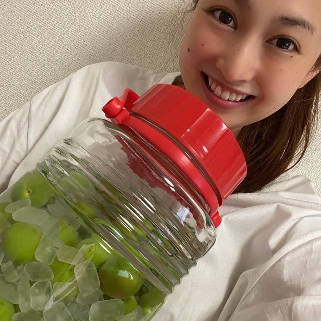 吉江瞳のインスタグラム：「人生初の梅酒づくり 今年初めの頃にみた海街diaryをみて今年梅酒作ろうと思っててやっと！ すぐ飲めないし最低でも半年かかるけどとっても楽しみです！ うまくできてると良いけど😥 おいしくなーれ！ #梅酒づくり #おいしくなーれ」