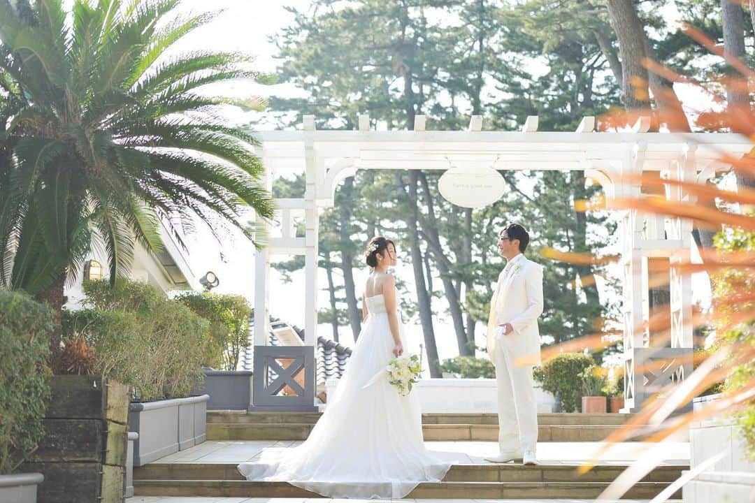 指帆亭のグルメインスタ