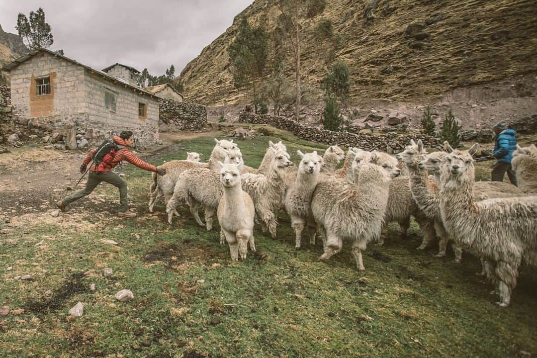 マウンテンハードウェアのインスタグラム：「“Something about the endless green hills encouraged us to wander around on the weaving llama trails to see what cliff or mountain lay ahead: a place so empty but filled with centuries of farming and life.” Words: @chadurif in “Discovery in the Andes: Dream Wall” (Explore the gallery, link in bio.) Photo: @coldhousemedia.」