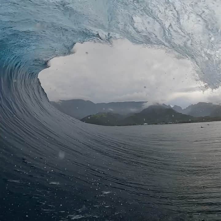 ミシェル・ボレーズのインスタグラム：「Home sweet home ! The place where I grew up surfing was pumping for 2 days straight . Today the swell is about to get bigger and bigger 😁. The guns are ready to go . I just hope for the wind to stay low... #itstime #letsgo」