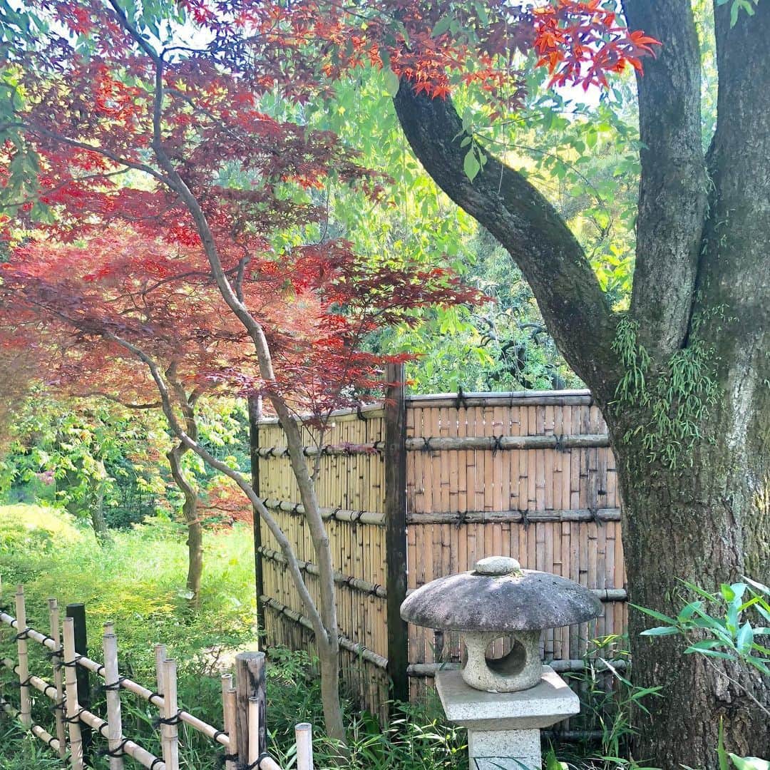 ヨネスケさんのインスタグラム写真 - (ヨネスケInstagram)「甘泉園。西早稲田にこんな庭園があるんですね。無料です。 #甘泉園#西早稲田#早稲田大学#庭園」5月30日 4時53分 - yonesuke5656