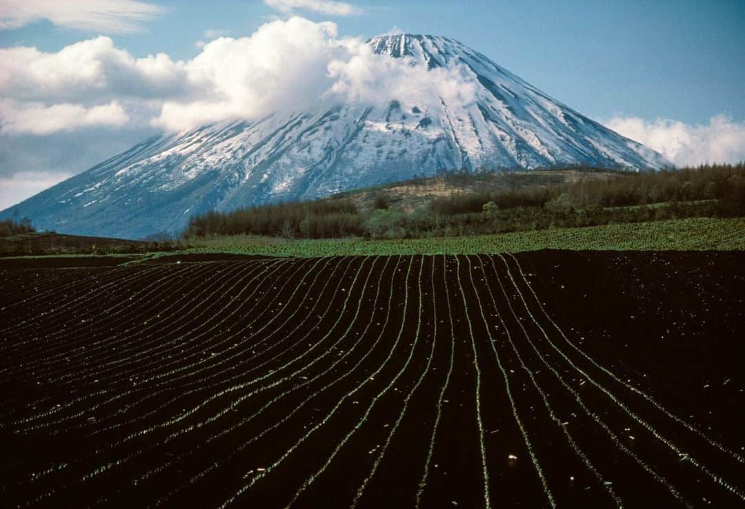 Michael Yamashitaさんのインスタグラム写真 - (Michael YamashitaInstagram)「Everyone loves Fuji, the symbol of Japan, it’s highest mountain and its most popular attraction. Here are some famous look alikes: from Kyushu, it’s Satsuma Fuji or Kaimondake. From Hokkaido, Ezo Fuji or Yoteisan. From Disney Sea Park on Tokyo Bay, it’s Mount Prometheus. #fujilove #kaimondake #yoteisan #mountprometheus」5月30日 5時50分 - yamashitaphoto