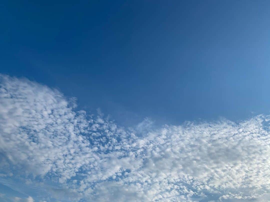 高松いくさんのインスタグラム写真 - (高松いくInstagram)「海🌊朝5:57の空☁️ ヨガを終えて  目を閉じて、、寝転がっていると  左の耳には波の音が  右の耳には鳥の声が  鳥の声がどんどん大きくなる  っぱってみたらすごい近くにいたw  6:01  だんだん右の頬に太陽の光が当たってきた  あ、、シミが 、、、いいや😌w  このまま2度寝に入りそうです  あと5分、、、😪 #海で  #ヨガ  #二度寝  #良い天気  #haveaniceday  #sea #sky #cloud #sun」5月30日 6時08分 - iku_takamatsu_trip_sup_yoga