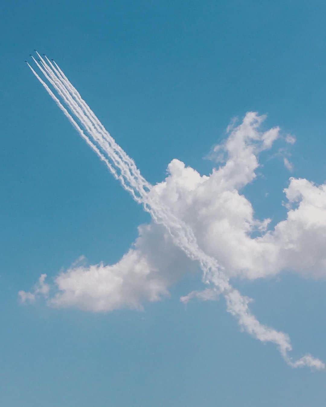 ima_ju / Jun Iのインスタグラム：「: : Trajectory of Thanks : : by My Daughter Shot : : ::」