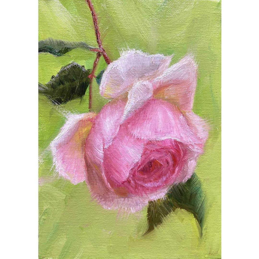 古賀陽子のインスタグラム：「“蔓薔薇”  #rose #バラ  #アート #アーティスト #アートワーク  #作家 #画家 #美術館 #絵 #作品 #油絵 #絵画展 #静物画 #アートのある暮らし #絵画のある暮らし #ギャラリー #個展 #神戸 #exhibition #exhibit #art #instaart #instaartist #artist #artwork #gallery #stilllife #painting #yokokoga #古賀陽子」