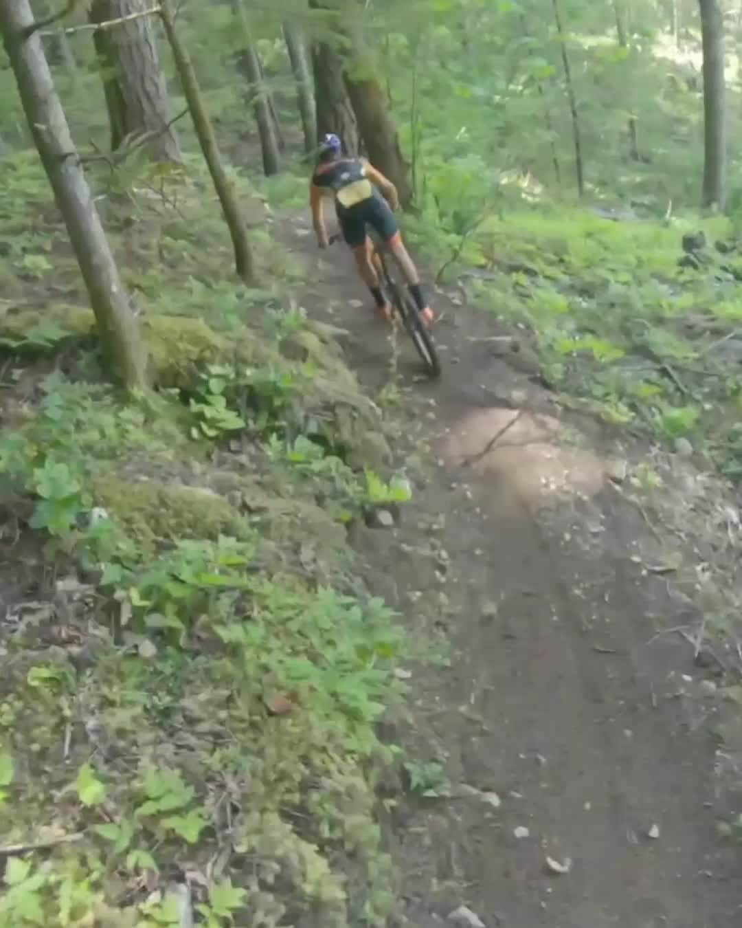 レッドブルのインスタグラム：「nothing better than carving up a perfect forest trail ∙ 🏃‍♂️: @paysonmcelveen #bike #mtb #trail #redbull #givesyouwings」
