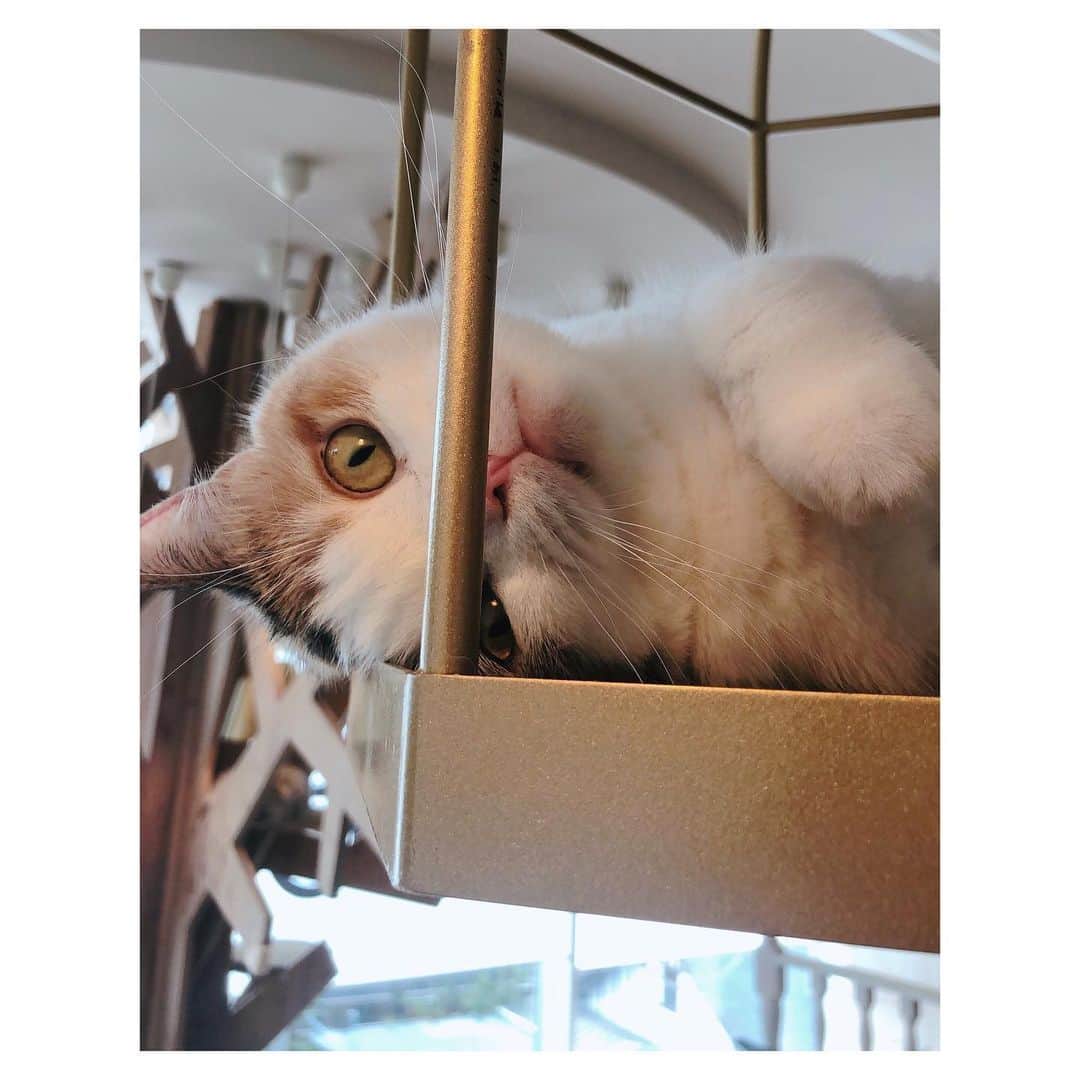 高田汐美のグルメインスタ