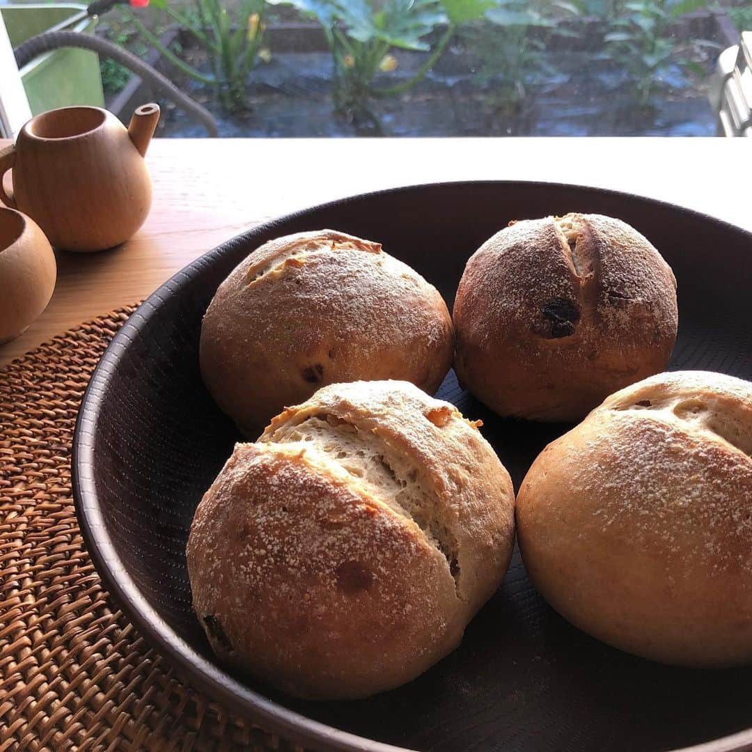 COLLOのインスタグラム：「今日の朝パン🍞イチジクとレーズン入りのライ麦パン ・ ドライフルーツ入れと切込みに成功🍇 ・ #パン作り #もっちりずっしり #つくりたいパンがいっぱい」