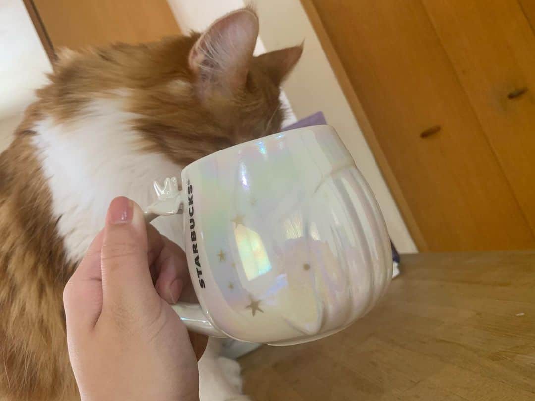 伊波まりやのインスタグラム：「. . スタバのグッズ普段は買わないんだけど . これは可愛くて買ってしまった、、 . くじらのマグカップ！ 夏ぽくて良い！！🙋🏼💕 . . Starbucks japan new item💕 . . . #スタバ #Starbucks #マグカップ #kawaii #스타벅스」
