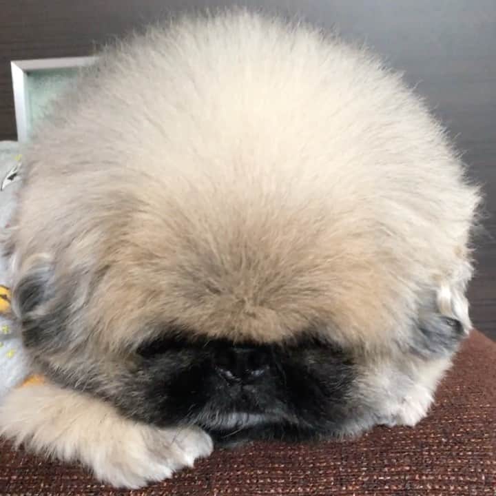 いぶそらのインスタグラム