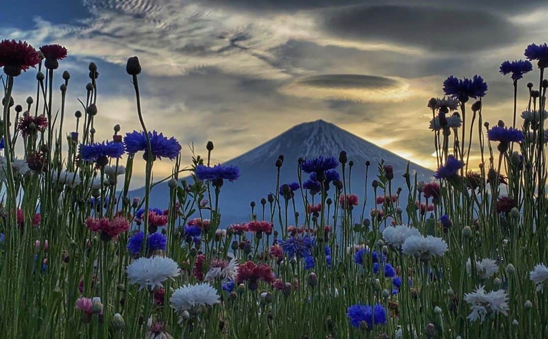 phantastic420のインスタグラム：「. 🤩🤩“Shizuoka” prefecture in Japan is a place where you can see the most “phantastic” Mt. Fuji🗻 in the world.🤩 #富士山 #mtfuji #japan #shizuoka #fujinomiya  #宮すた #miyasta @fujinomiyacity  #phantastic420photography #mostphantasticmtfuji #selamatpagi  #goodmorning  #おはようございます 😇😇😇😇😇😇😇🗻😇😇😇😇」
