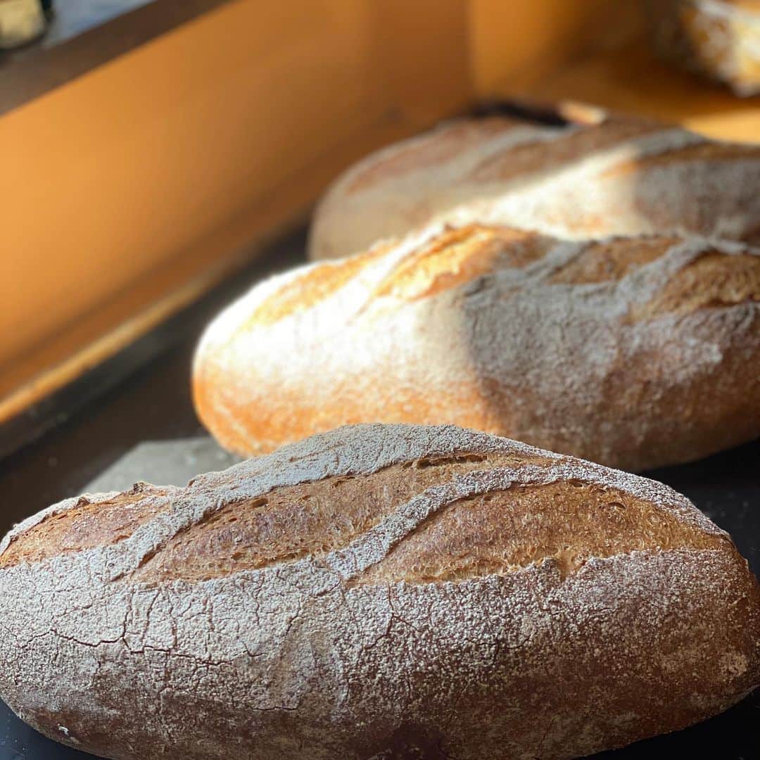 魔女菅原のグルメインスタ