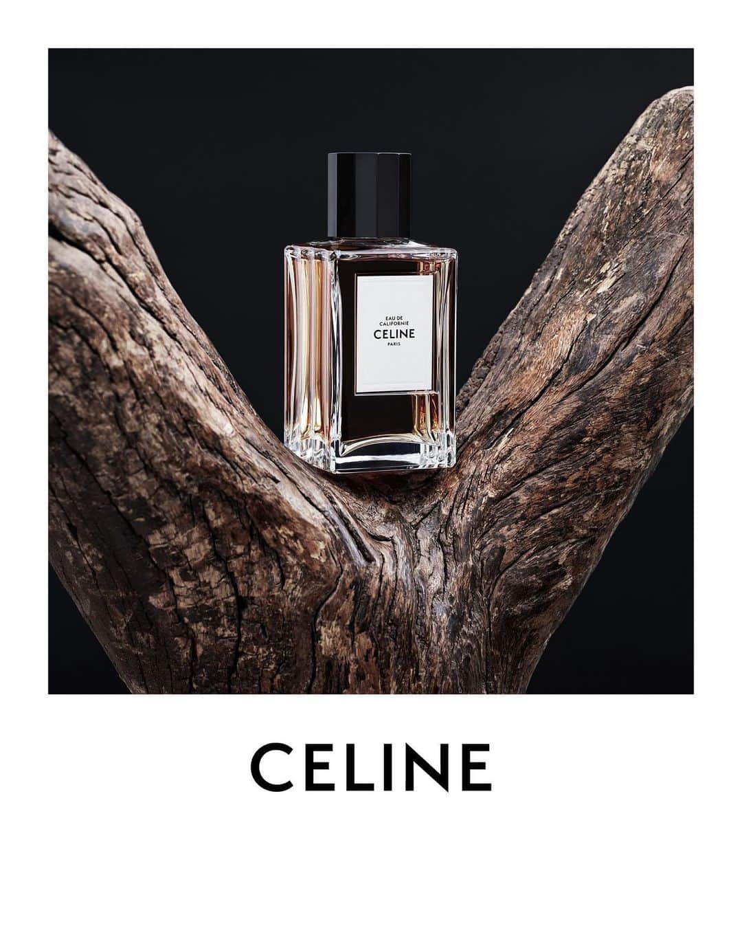 Celineのインスタグラム