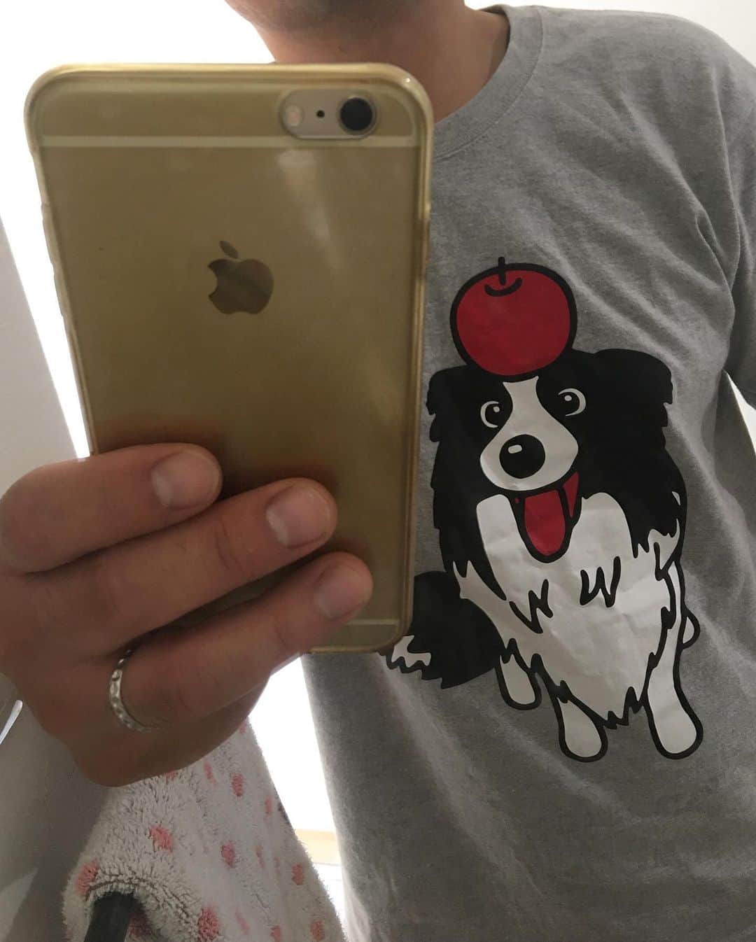 犬バカ部宣伝部長のインスタグラム