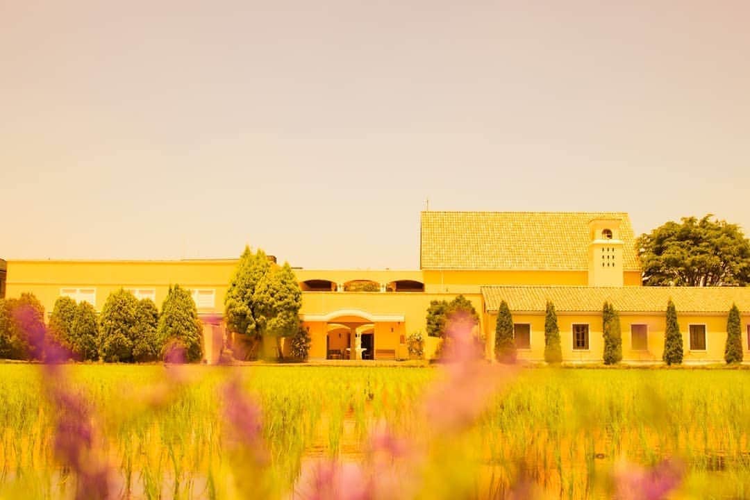 メゾン エルミタージュのグルメインスタ