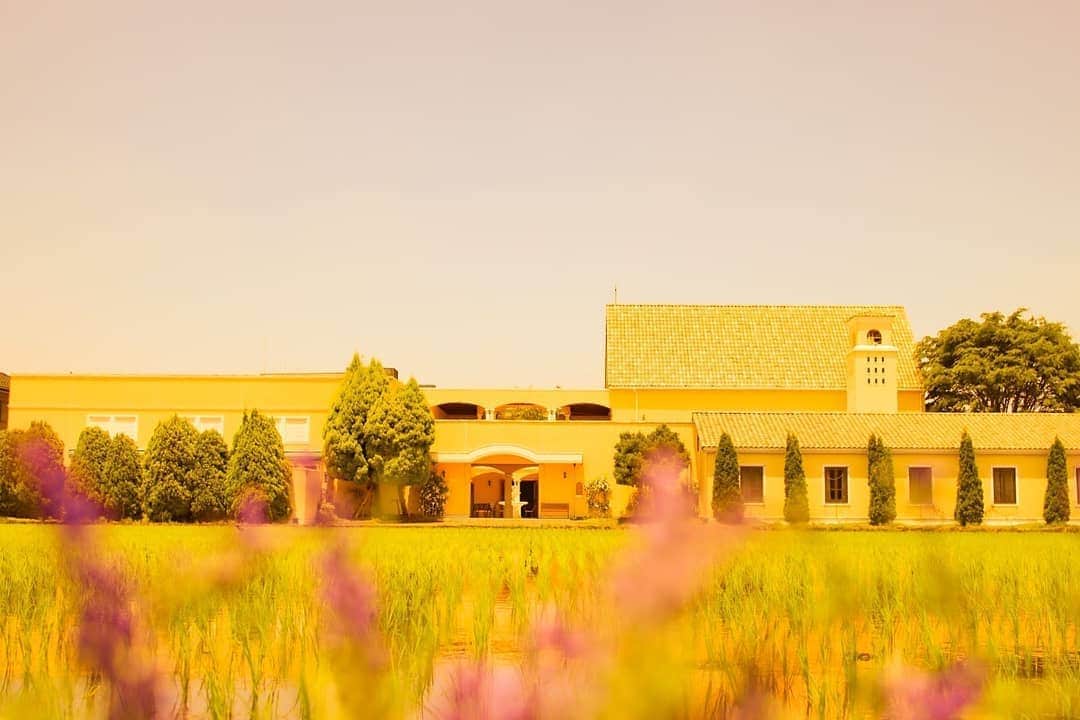 メゾン エルミタージュのグルメインスタ