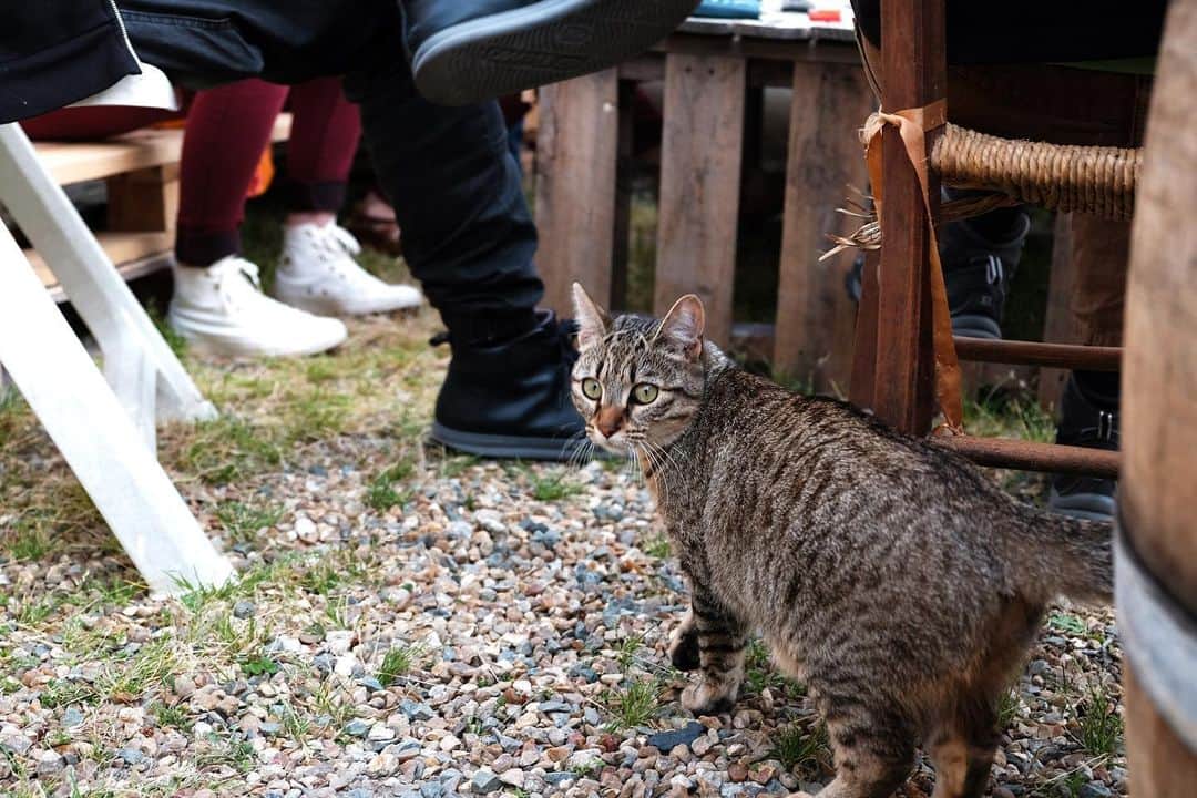 シシド・カフカのインスタグラム