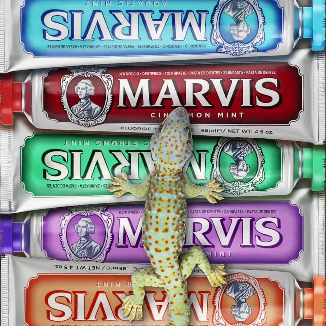 Marvisのインスタグラム