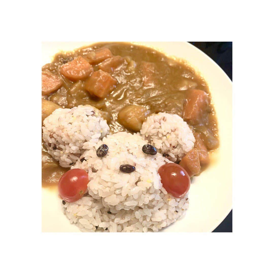 植村あかりさんのインスタグラム写真 - (植村あかりInstagram)「🍛﻿ ﻿ ﻿ 🧸✖︎🍛﻿ ﻿ 🐶✖︎🍛﻿ ﻿ ﻿ ﻿ #いぬカレー﻿ #くまカレー﻿ #どっち似？﻿ #アフロ犬にも #見えてくる #🤔」5月30日 21時11分 - akari_uemura.official