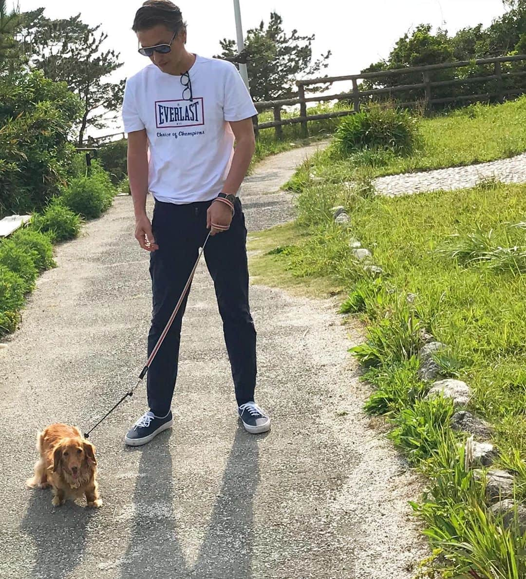 加藤章太郎さんのインスタグラム写真 - (加藤章太郎Instagram)「🐕🚶‍♂️ #walking #mydog #dachshund #sunnyday #saturday」5月30日 21時22分 - __shotaro__