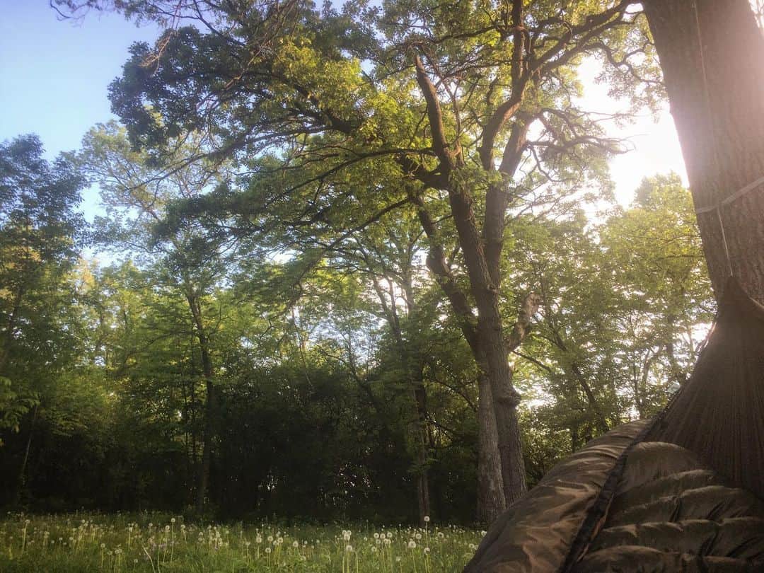 アウル・シティーのインスタグラム：「Have you ever heard the wonderful silence just before the dawn? Or the quiet and calm just as a storm ends? Or perhaps you know the silence when you haven't the answer to a question you've been asked, or the hush of a country road at night, or the expectant pause of a room full of people when someone is just about to speak. Or, most beautiful of all, the moment after the door closes and you're alone in the whole house. Each one is different, you know, and all very beautiful if you listen carefully. -Norton Juster」