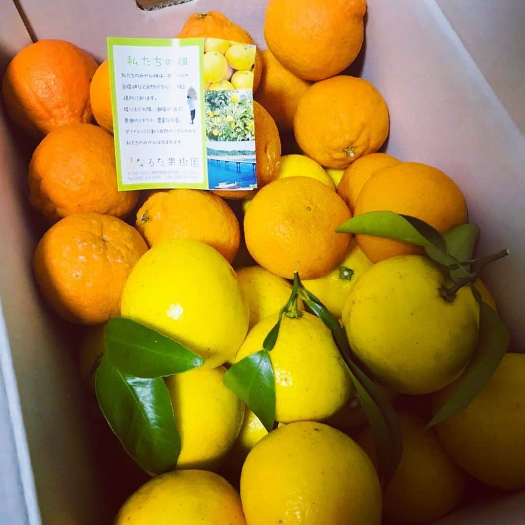 寺田明日香のインスタグラム：「なるた果樹園さんに、いい匂いの柑橘さんたちを送って頂きました😍 段ボール置いておくだけでもいい香り… 癒されます。 ビタミンと水分不足がちなので、大活躍してもらいます🍊  #なるた果樹園 #柑橘」