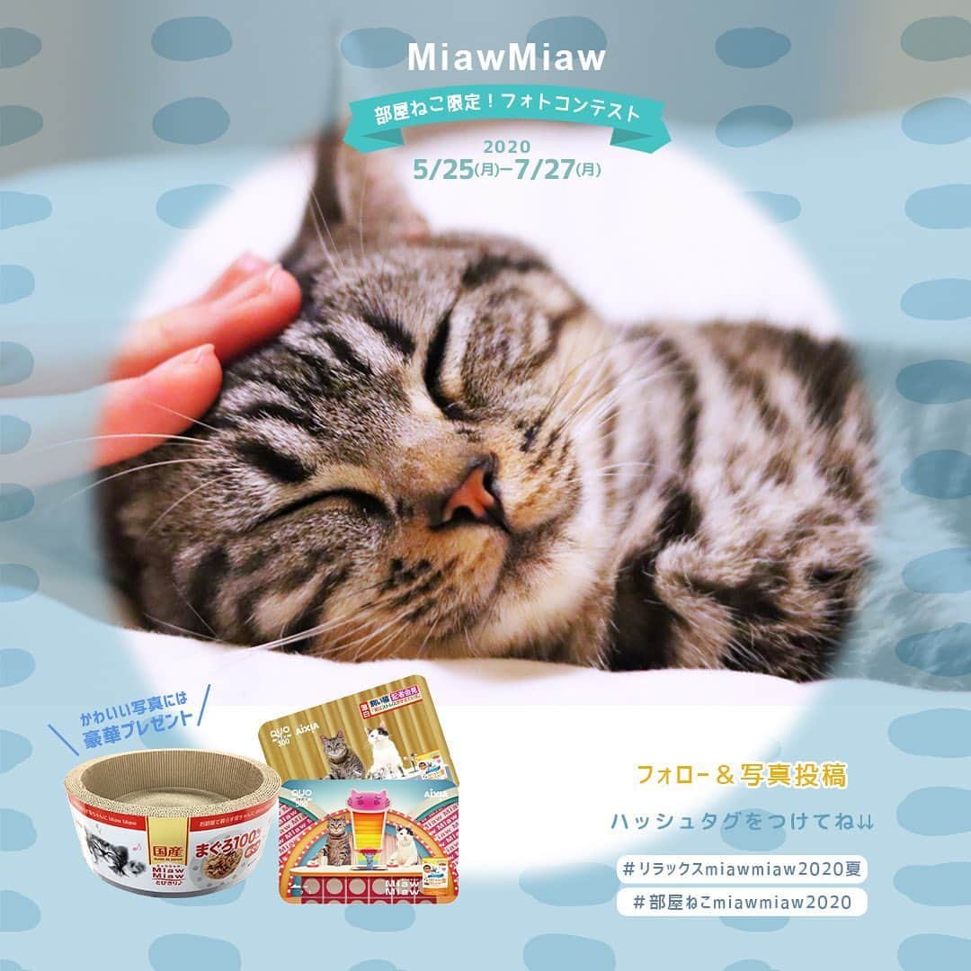 MiawMiawのインスタグラム：「＼部屋ねこ限定🐈🏠！フォトコンテスト開催中📷🏆！／⁣ ⁣ MiawMiawはただいまフォトコンテストを開催中♪⁣ 自慢の猫ちゃんを投稿して豪華賞品をGETしよう🎉⁣ ⁣ おうち時間が増えて、みなさんも猫ちゃんと一緒の時間が増えているはず✨⁣ おうちの中でかわいい猫ちゃんの写真を撮ったら、⁣ テーマに合う指定の応募ハッシュタグをつけて投稿してください🐈💓⁣ ⁣ ⁣ ＜参加方法＞⁣ ① @miawmiaw_series (ミャウミャウ公式アカウント)をフォロー⁣ ② 応募テーマに合ったお写真を撮影する（おうちの中での写真なら過去の写真でもOK)⁣ ③ 下記のフォトコン専用ハッシュタグの中から、一つ選んで投稿する（複数応募・複数枚投稿可）⁣ ※キャンペーン期間外(過去投稿)の投稿に応募ハッシュタグを付けた場合はキャンペーンの応募対象外とさせていただきます。ご了承ください。⁣ ⁣ ＜フォトコン専用ハッシュタグ＞⁣ ①～②のいずれかの応募テーマを選択し、指定のハッシュタグを付けて投稿してください♪⁣ ⁣ 【①猫ちゃんのリラックスしているフォト】⁣ #リラックスmiawmiaw2020夏⁣ ※「2020夏」を付けていただかないと今回の応募の対象になりませんのでご注意ください。⁣ ⁣ 【②お部屋の中にいる猫ちゃんのフォト】⁣ #部屋ねこmiawmiaw2020⁣ ⁣ フォトコンテスト期間中、指定のハッシュタグでご参加いただいている方を、当アカウントでご紹介させていただくこともございます😻📷♪⁣ ⁣ ＜募集期間＞⁣ 2020年5月25日(月)～2020年7月27日(月)23:59まで⁣ ⁣ ＜賞品＞⁣ 🏆大賞　各テーマ1名様　：投稿フォト入りオリジナル猫用爪とぎ＋MiawMiaw商品詰め合わせ⁣ 🏆金賞　各テーマ3名様　：オリジナルQUOカード( 合計800円分)＋MiawMiaw商品詰め合わせ⁣ 🏆銀賞　各テーマ5名様　：MiawMiaw商品詰め合わせ⁣ ⁣ ※賞品の画像はイメージです。変更になる場合がございます。⁣ ⁣ ＜当選者様へのご連絡＞⁣ 当選者発表は8⽉中旬を予定しております。⁣ 当選者の⽅には Instagram上のDMにてご連絡致します。⁣ ⁣ ＜ご注意＞⁣ ＊本キャンペーンにご参加いただくことにより、本募集要項に同意いただいたものとみなします（未成年の方については、親権者に同意いただいたものとみなします）。⁣ ＊選考時に、アカウントフォロー及び指定のハッシュタグ投稿を継続いただいていることが確認できない場合、選考の対象から外れることがあります。フォトコンテスト終了からおおむね1か月程度、参加条件に達する状態を継続いただくことをお勧めします。⁣ ＊アカウントを非公開設定にしている場合は選考対象外となります。⁣ ＊再選考は行いません。⁣ ＊当選者は、配送の都合で日本国内にお住まいの方に限らせていただきます。⁣ ＊企業アカウントからのご応募は選考対象外となります。⁣ ＊賞品の返品・交換はできませんのでご了承くださいませ。⁣ ＊賞品の転売は禁止させていただきます。⁣ ＊通信環境の問題でDMが不着となった場合、又はご当選通知のDMに記載の手続きを履行いただけない場合、ご当選の資格は無効となります。⁣ ＊賞品画像はイメージとなります。⁣ ＊本キャンペーン参加にあたって生じるインターネット接続料や通信料、当選連絡DMに記載の手続を履践するにあたって生じる諸費用は、ご本人様の負担となります。⁣ ＊本キャンペーンで投稿いただいた写真や動画は、当社公式Instagramアカウントにてご紹介させていただく場合がございます。なお、このご紹介は選考結果とは関係がありません。⁣ ⁣ たくさんのご応募お待ちしております😻！⁣ ⁣ #miawmiaw #ミャウミャウ⁣ #部屋ねこ #おうち時間を楽しむ #フォトコンテスト #コンテスト #プレゼント企画 #プレゼント #プレゼントキャンペーン #キャンペーン開催中 #キャンペーン #ねこのいる生活 #ねこばか #ネコ好き #猫 #ねこ #ネコ #にゃんこ #猫部 #猫のいる暮らし #キャットフード #猫好きさんと繋がりたい #猫好き #にゃんこ部 #にゃんすたぐらむ #ねこすたぐらむ #にゃー #stayhome」