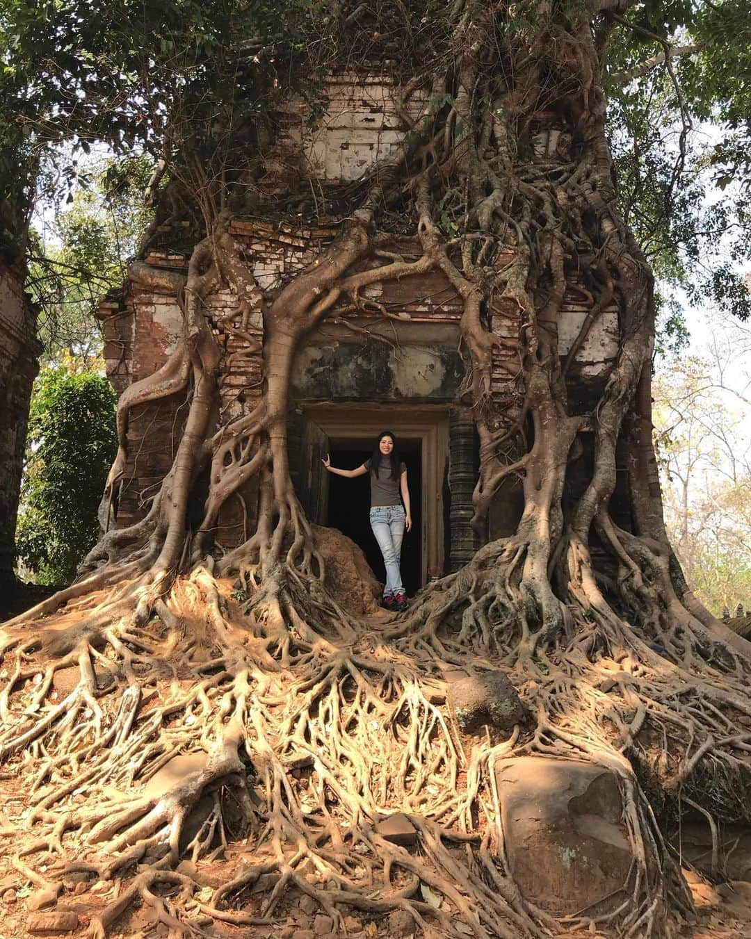 日高大地さんのインスタグラム写真 - (日高大地Instagram)「Fun memories of 2 years ago﻿ In Cambodia🇰🇭﻿ ﻿ 楽しかった旅シリーズ😌﻿ In カンボジア﻿ ﻿ ベンメリア遺跡🌏﻿ 崩壊遺跡。まるでラピュタの世界。﻿ スペクタクルすぎる光景。﻿ 苔が生茂り、熱帯樹の根や枝が巻き付き、石がバラバラに積み重なった見たこともない光景。﻿ ﻿ 自然の力って凄いなぁ、、、。﻿ 歴史が美しい。﻿ ﻿ 百聞は一見に如かず。﻿ ﻿ (ラピュタのモデルともいわれているベンメリアですが、実際には映画公開よりも後に遺跡の詳細が広く紹介されるようになったので関係性はないみたいです😅) ﻿ ﻿ #travel #travelgram #instatravel #travelphotography #旅写真#旅スタグラム#海外旅行#世界遺産#cambodia#siemreap#カンボジア#シェムリアップ#ベンメリア#bengmealea #🇰🇭」5月30日 13時19分 - yoko92hidaka