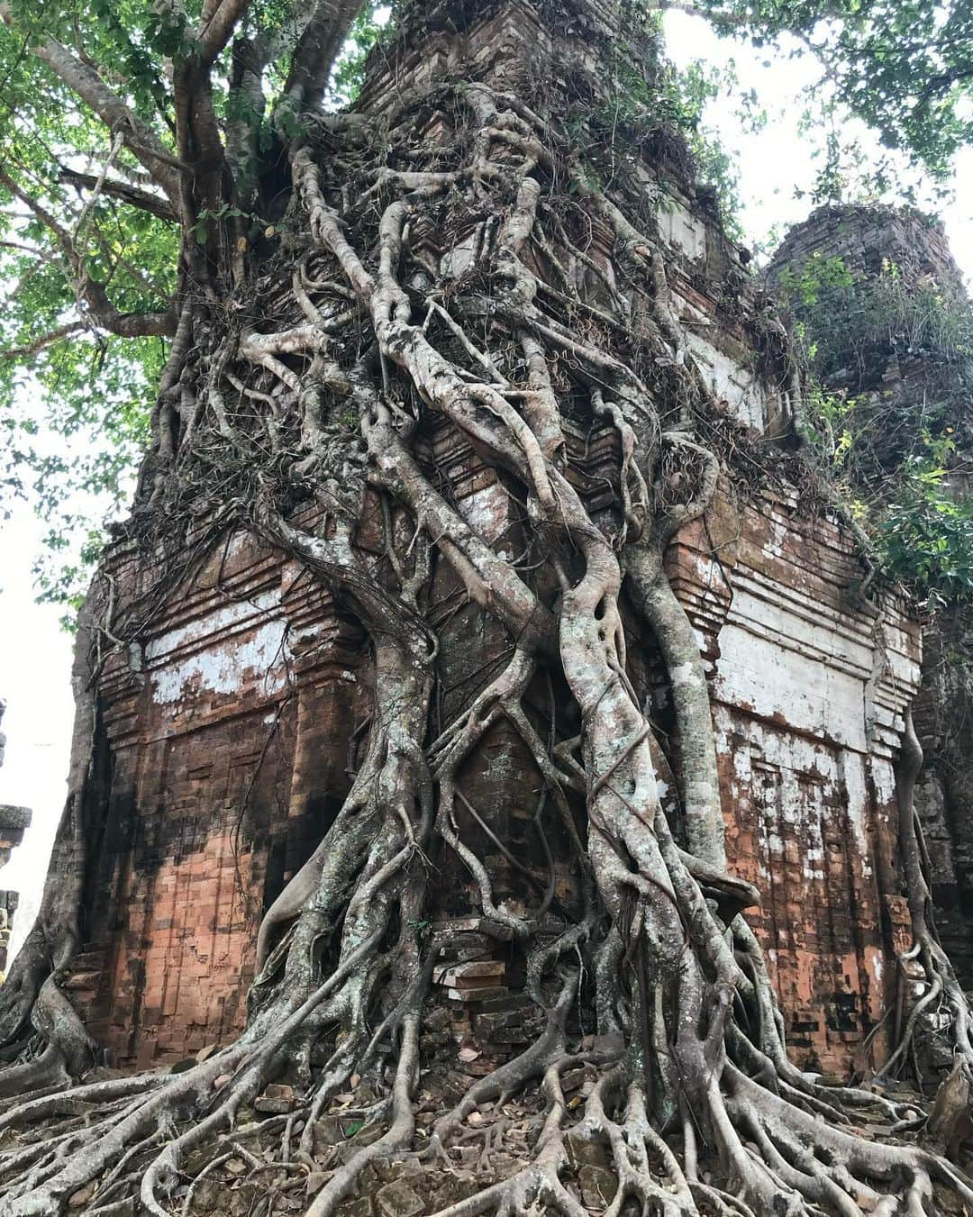 日高大地さんのインスタグラム写真 - (日高大地Instagram)「Fun memories of 2 years ago﻿ In Cambodia🇰🇭﻿ ﻿ 楽しかった旅シリーズ😌﻿ In カンボジア﻿ ﻿ ベンメリア遺跡🌏﻿ 崩壊遺跡。まるでラピュタの世界。﻿ スペクタクルすぎる光景。﻿ 苔が生茂り、熱帯樹の根や枝が巻き付き、石がバラバラに積み重なった見たこともない光景。﻿ ﻿ 自然の力って凄いなぁ、、、。﻿ 歴史が美しい。﻿ ﻿ 百聞は一見に如かず。﻿ ﻿ (ラピュタのモデルともいわれているベンメリアですが、実際には映画公開よりも後に遺跡の詳細が広く紹介されるようになったので関係性はないみたいです😅) ﻿ ﻿ #travel #travelgram #instatravel #travelphotography #旅写真#旅スタグラム#海外旅行#世界遺産#cambodia#siemreap#カンボジア#シェムリアップ#ベンメリア#bengmealea #🇰🇭」5月30日 13時19分 - yoko92hidaka