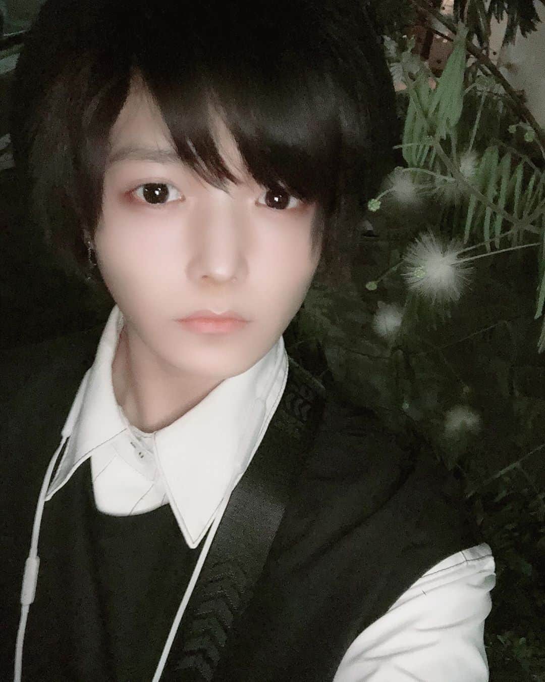 島貫勇士さんのインスタグラム写真 - (島貫勇士Instagram)「🦚 .  不思議な森にありそうな植物あったから 撮ったよ。ふあふあ〜  #メンズアイドル #ファンタジー  #幻想植物 #厨二病」5月30日 13時57分 - yujimelo_sads