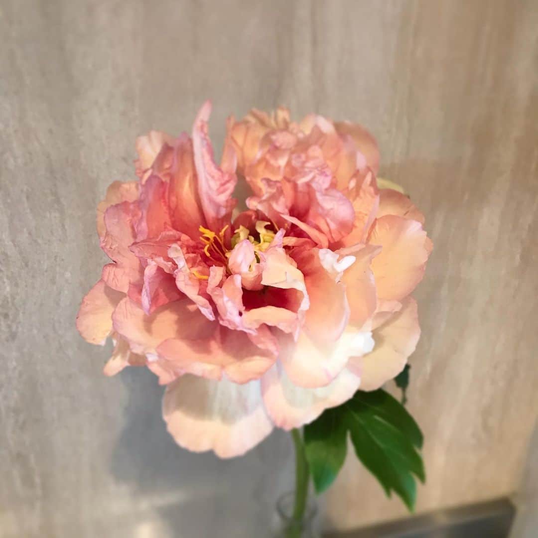 福田葉子のインスタグラム