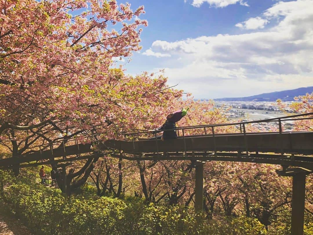 川原克己 さんのインスタグラム写真 - (川原克己 Instagram)「【なすびくんの妄想5.7.5】ロッテ編 . . 変なとこ 疑問の奴に 猫威嚇 . . . 鳥谷『・・・よろぴく』 . 藤原恭大『ぴく！？』 平沢大河『ぴく！？』 . 清田『よろ！？』 . 猫『シャー！！』 . #お花見 #桜なすび」5月30日 14時42分 - tenjikunezumikawahara