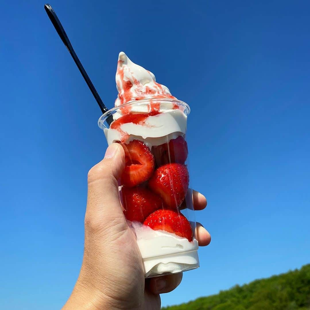 佐藤広大さんのインスタグラム写真 - (佐藤広大Instagram)「自然満喫倶楽部2020🍦🍓✨ ﻿ ﻿ #北海道クオリティ﻿ #清田クオリティ﻿ #自然満喫倶楽部 #おいちい #🍓」5月30日 15時10分 - satokodai601113