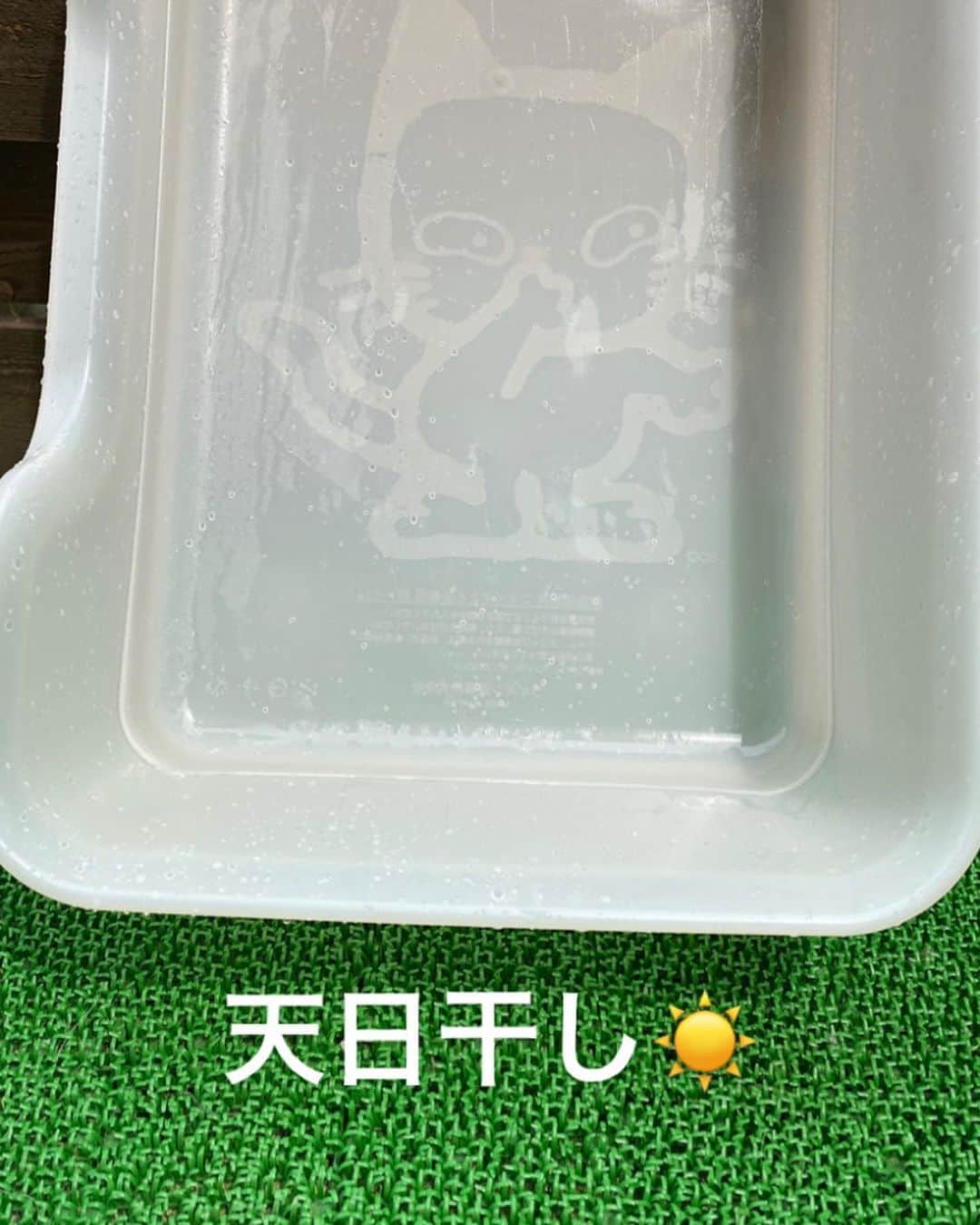 midoriさんのインスタグラム写真 - (midoriInstagram)「. . 4月15日に発売された、 『獣医師開発 猫トイレ』。 モニターとして、使わせていただいております🙏. . . 今回は、砂の交換とトイレの丸洗い☝️ . ◉トイレの1辺が丸くなってるので砂を捨て易い💮 . ◉パーツが少なく洗い易いし、すぐ乾く💮 . . 乾いたトイレの中、猫たちが寛いでいました🤣🤣. . . そして、除菌シート✨. . 厚手のメッシュシートで大判💮. . コレからの梅雨シーズン、必需品となりそうです✨. . .  是非、商品ページ、覗いてみて下さい🙏. . .  @lion_pet_cat. . . ＊商品ページ＊ https://www.lion-pet.jp/catsuna/nekotoilet/index.htm. . .  #PR #獣医師開発猫トイレ　#ねこ #猫  #ニオイをとる砂　#にゃんすたぐらむ 　#獣医師開発 #猫トイレ #猫トイレ問題#猫トイレ掃除 #猫トイレ用除菌クリーナー　#猫砂全量交換  #シュシュット　#lionpet #lionpetcat　 #ライオンペット　@lion_pet_cat . . .  #nyancon01 #rakutenpet #ネコ#ねこすたぐらむ #にゃんこ #保護猫  #みんねこ#ピクネコ#ペコねこ部#ねこ部 #sippo #朝わんこ夕にゃんこ  #catstagram#cats_of_instagram」5月30日 15時31分 - midorinotanbo