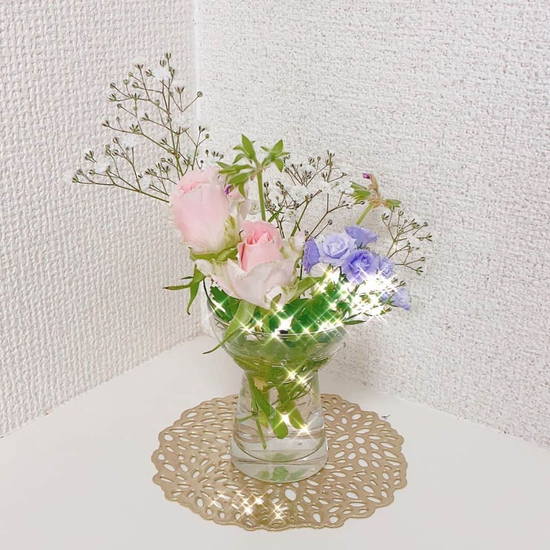斉藤麻衣のインスタグラム：「✴︎ ✴︎ ✴︎ ✴︎ ✴︎ #お花のある生活 #おうちの子たち #摘んでみた」