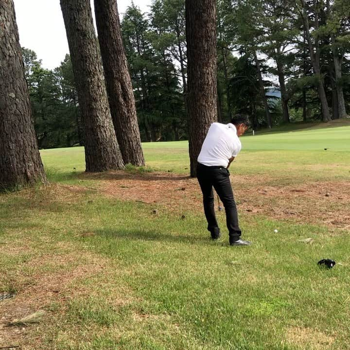 竹安俊也のインスタグラム：「今日は家族ラウンド😊  親父は相変わらずクセ強め こんなスイングでもスコア80台では回ってくる 気合いだけは一流 俺もそういう所見習わないと  #親父とラウンド」