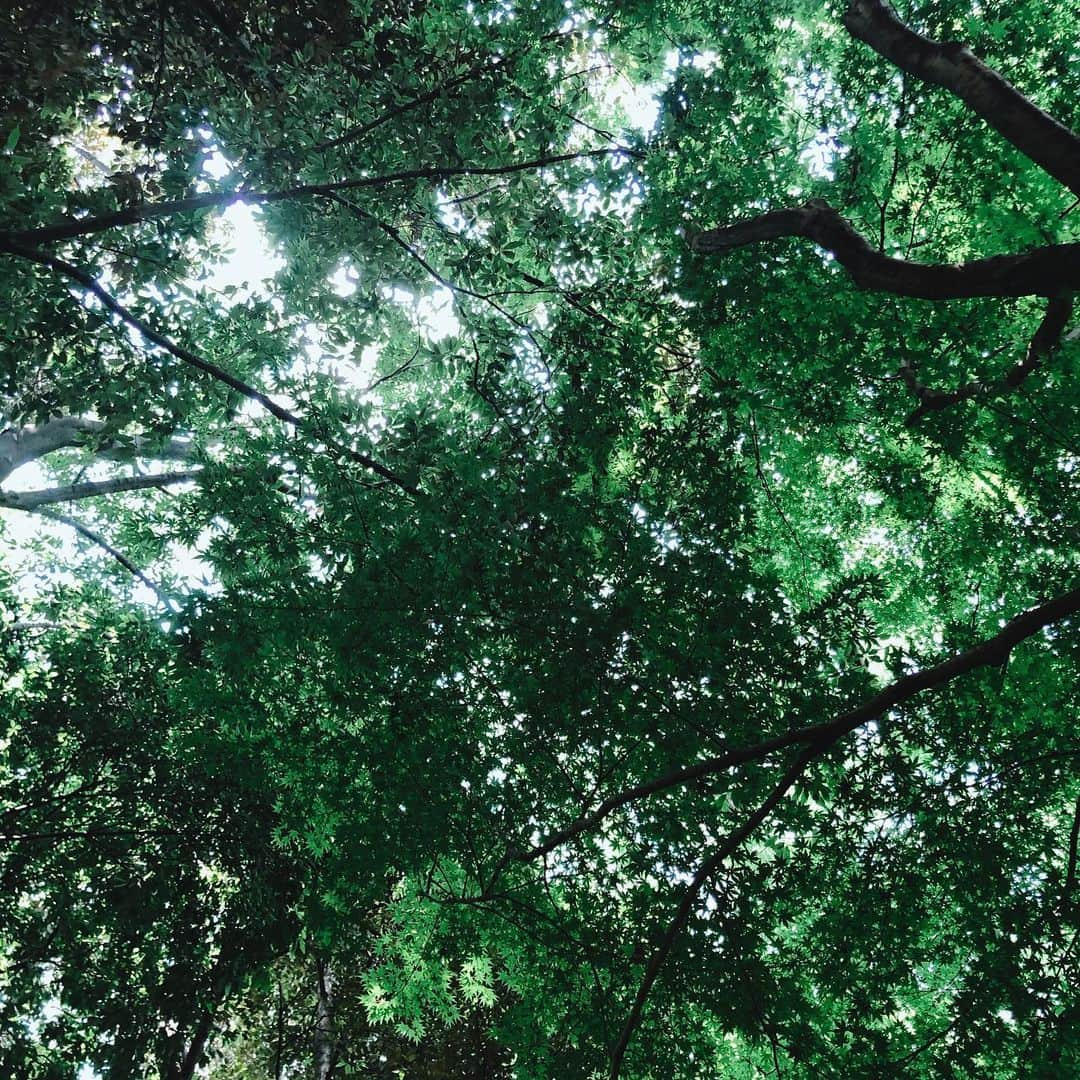 金澤ダイスケさんのインスタグラム写真 - (金澤ダイスケInstagram)「Green」5月30日 16時36分 - daisukekanazawa_ff