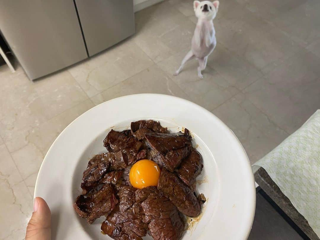 ペ・ヒギョンさんのインスタグラム写真 - (ペ・ヒギョンInstagram)「갑자기 먹고싶어서 만든 대창덮밥소스에 소고기만 넣은 소고기동.... 진짜 꼭 만들어서 드세요 폭죽이 터집니다😍😋😋😋 간장 만드는법 양파와파그리고마늘을 불에 구운다음 간장한컵반 설탕한컵 소주한컵 물 두컵 굴소스두스푼 청양고추 두개 (미림은 없어서 못넣엇지만 잇으면 넣으세요 한컵) 마지막컷 방구야 이거 너꺼아냐 내꺼야....😅」5月30日 17時04分 - baeheekyung3