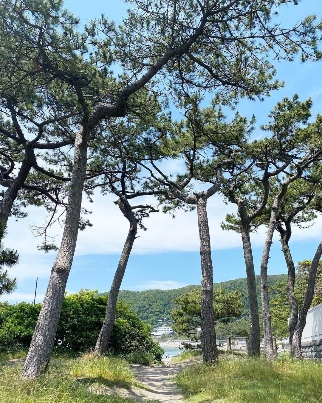 Hiroe Hiranoさんのインスタグラム写真 - (Hiroe HiranoInstagram)「本日の海ウォーキング🏖🌞﻿ 水が澄んでて美しかった✨﻿ ﻿ そして、空を見上げると。﻿ 虹を発見🌈﻿これを見た人も♡ GOOD SIGN ✨yay✌️ ﻿ ﻿ ﻿ どんな事でも。せっかく進んでいくなら、﻿ 楽しんで、笑って力を合わせて乗り切りたい❣️﻿ さぁ、どんな未来を創っていこうか☺️ ﻿ お天気も良く、海日和✨﻿ 素敵な週末を☺️🌳🌳﻿ ﻿ #haveagoodweekend #海のある生活﻿  #mothersnature #自然好き」5月30日 17時35分 - hiroe_hirano