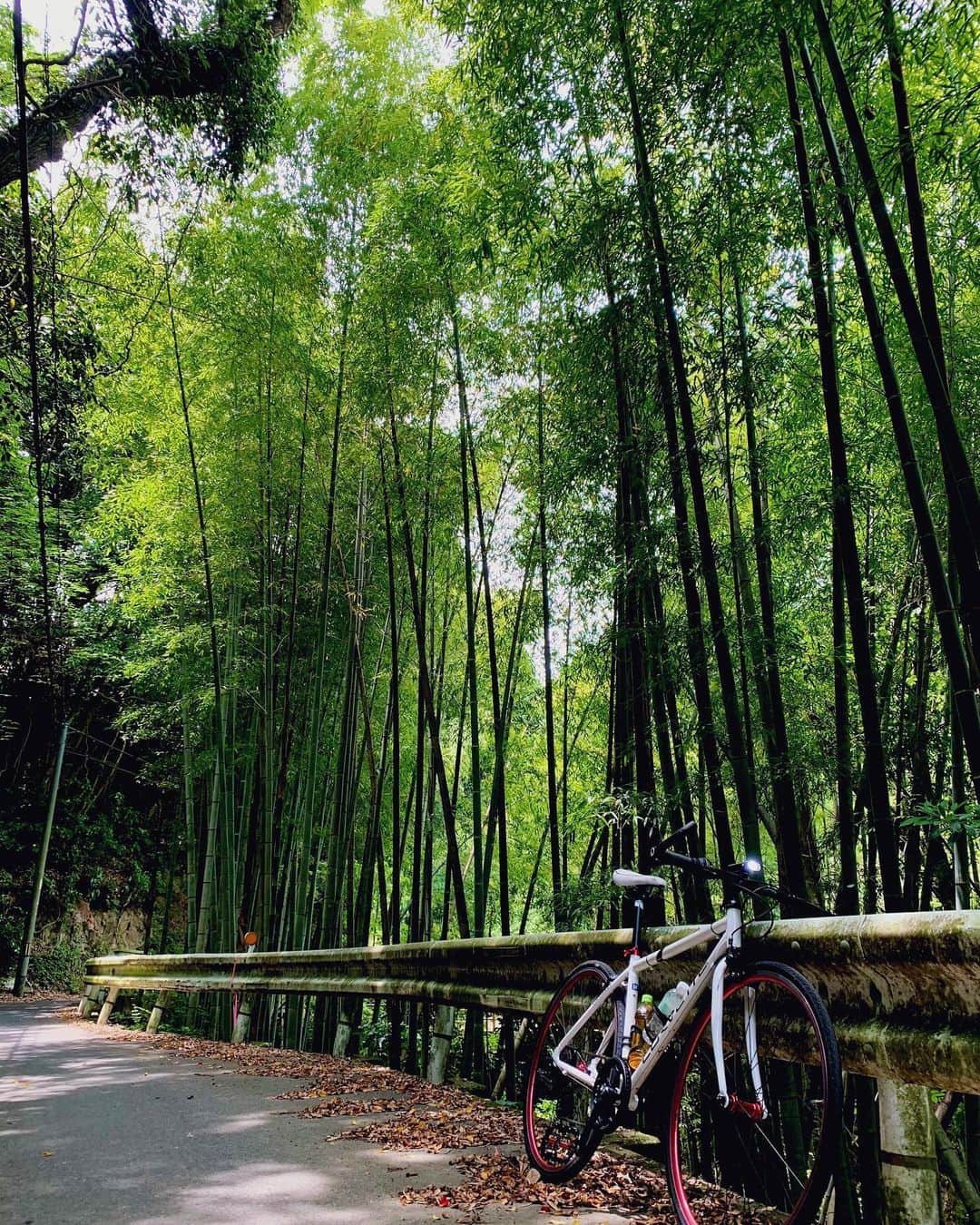 mana___chinのインスタグラム：「最近チャリで山登ります🚴‍♀️」