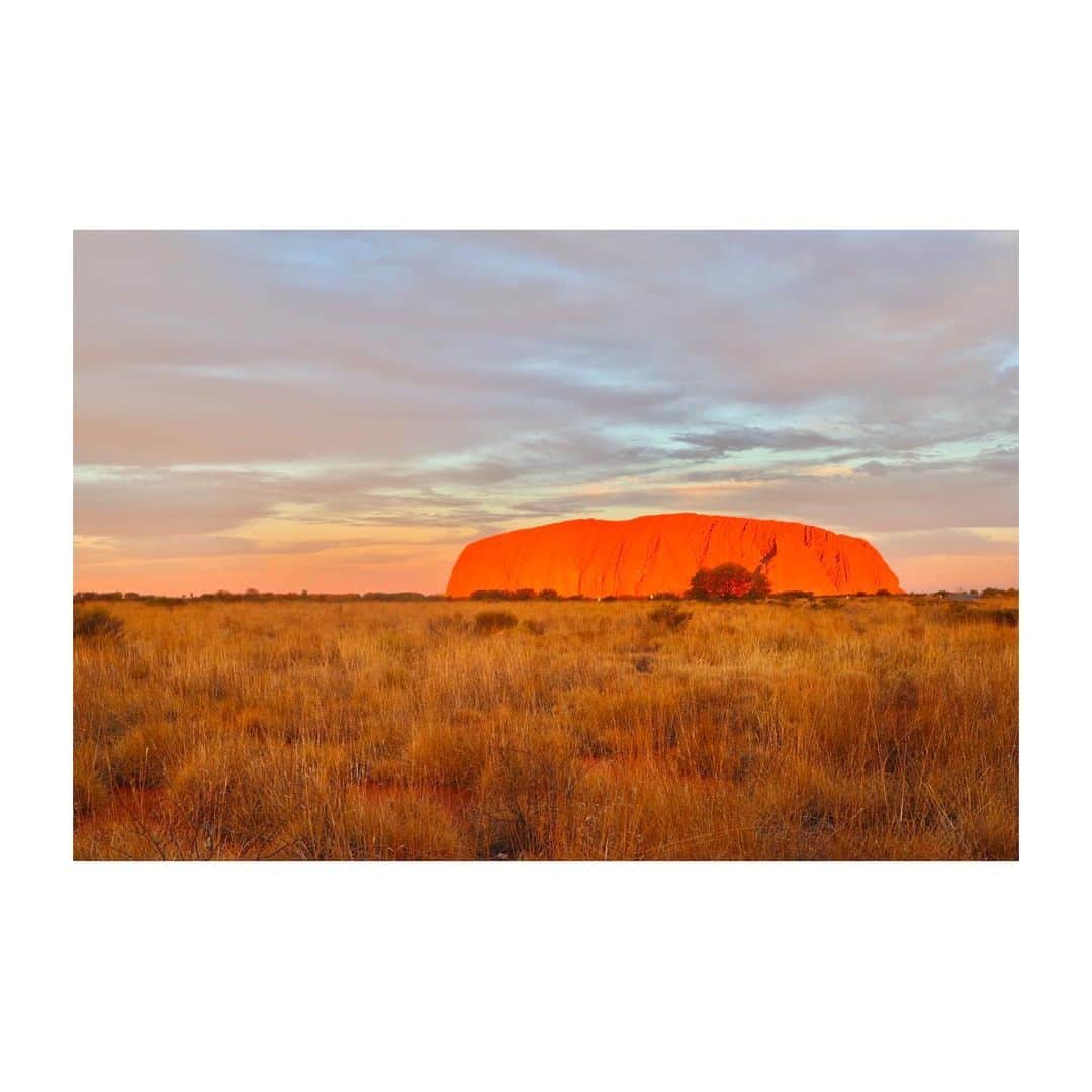 外岡えりかさんのインスタグラム写真 - (外岡えりかInstagram)「. 🌏🙏✨ #一人旅 #オーストラリア #エアーズロック #ウルル #australia #uluru #ulurukatatjutanationalpark #ayersrock #sunset」5月30日 18時04分 - erica_tonooka
