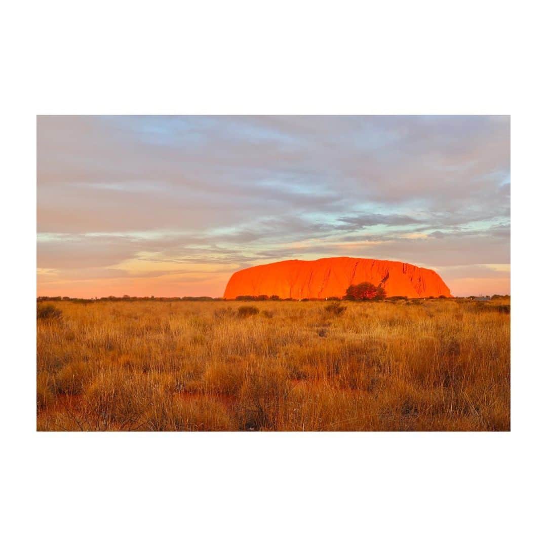 のインスタグラム：「. 🌏🙏✨ #一人旅 #オーストラリア #エアーズロック #ウルル #australia #uluru #ulurukatatjutanationalpark #ayersrock #sunset」