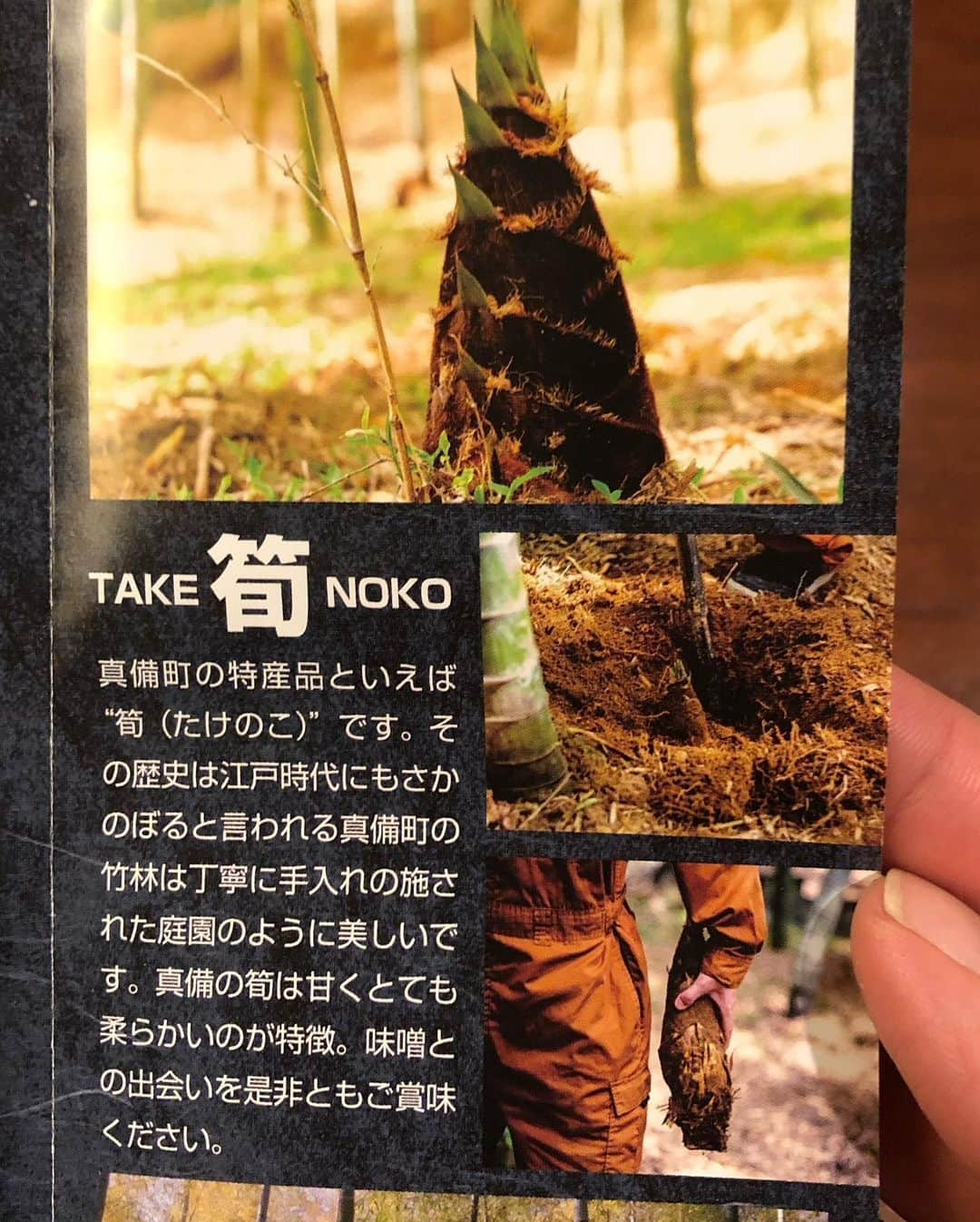 橋本塁さんのインスタグラム写真 - (橋本塁Instagram)「岡山が誇るRaccoびんから「飯取物語」なる絶品な惣菜味噌白米にピッタリ！届いて食べたらあらびっくり！めちゃくちゃ美味しいので是非お取り寄せたり岡山に行った際は！ #飯取物語 #惣菜味噌 #岡山 #岡山グルメ #惣菜味噌 #racco  #ノラネコ食堂真備店 #ラッコ #筍」5月30日 19時30分 - ruihashimoto